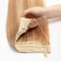 S5ba798207e254c3189206b6b161b2f0fP-4.webp